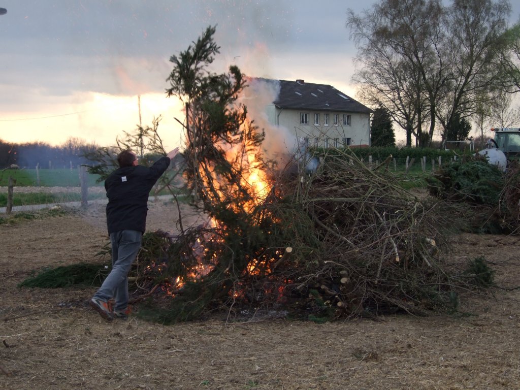 hierbrenntderbaum.jpg
